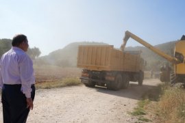 Milas Belediyesi Karakılçık Buğday Hasadı Gerçekleştirdi
