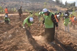 Çamovalı Mahallesi'nde Fidanlar ve Tohumlar Toprakla Buluştu