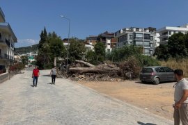 Milas Belediyesi İlçe Genelindeki Çalışmalarını Sürdürüyor