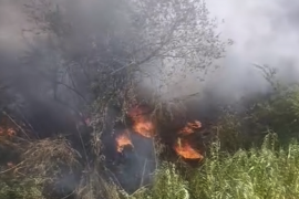 Milas’ta Sazlık Yangını Kısa Sürede Söndürüldü