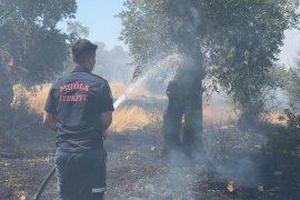 Milas Pınarcık ve Bafa’daki Yangınlar Kontrol Altına Alındı