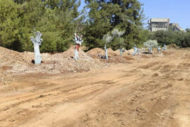 YK Enerji’den Gazetemize Sansür, Zeytin Taşıma Operasyonuna Tepki Çığ Gibi Büyüyor