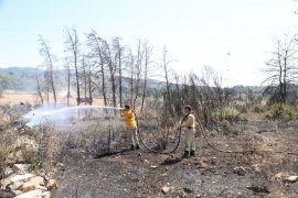Milas Çamköy’de Ziraat Alanda Başlayan Yangın Büyümeden Söndürüldü