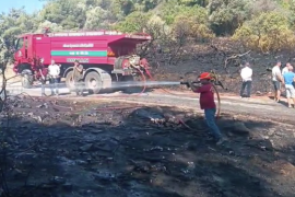 Milas Kıyıkışlacık Yolunda Araç Yangını Ormana Sıçradı
