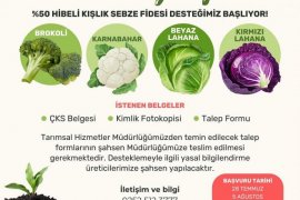 Yüzde 50 Hibeli Kışlık Sebze Fidesi Başvuruları Başlıyor