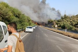 Milas Güllük’te Yangın Kontrol Altına Alındı