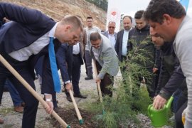 Muhtarlar tarafından Milas Muhtarlar Derneği Hatıra Ormanı oluşturuluyor