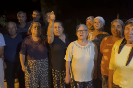 Zeytinlikler Ölmesin Diye Yola Çıktılar