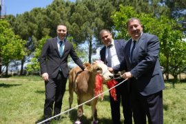 Milas’ta 14 Mayıs Dünya Çiftçiler Günü Kutlandı