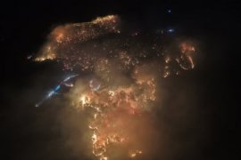 Milas iki farklı noktadan yanıyor, söndürme çalışmaları devam ediyor. Muğla genelinde 7 yangın peşe peşe çıktı