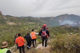 Bodrum’da orman yangını