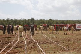 Milas'ta Orman Yangınlarına Karşı Kapsamlı Tatbikat ve Eğitim Gerçekleştirildi