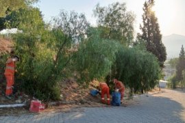 Milas’ın Temizliği İçin Uyarıdan Fazlası Gerekli