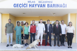 Sokak hayvanları için bir araya geldiler