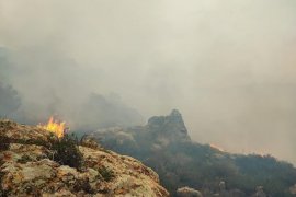 Bodrum’da orman yangını