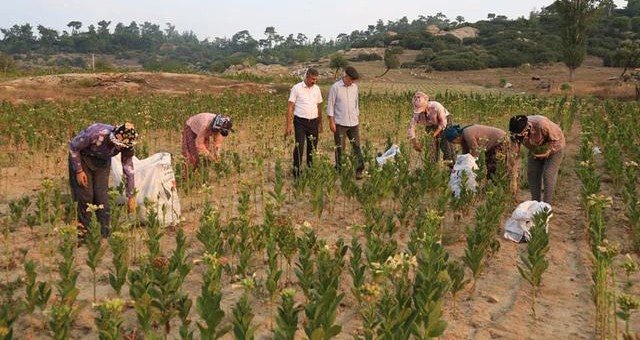 ÇKS ve Tarım Sayımında Son Günler