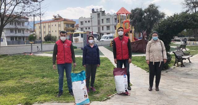 MİLAS GENÇLİK MERKEZİ SOKAK HAYVANLARINI BESLEDİ..