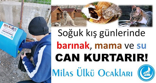 Sokak hayvanlarını unutmadılar..