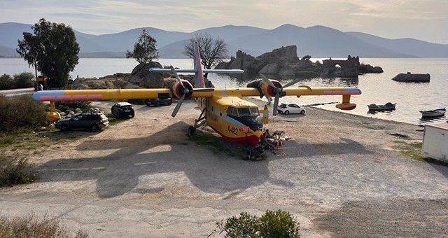 Bafa’nın Simgesi Haline Geldi