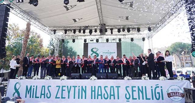 ZEYTİN HASAT ŞENLİĞİ MUHTEŞEMDİ!..