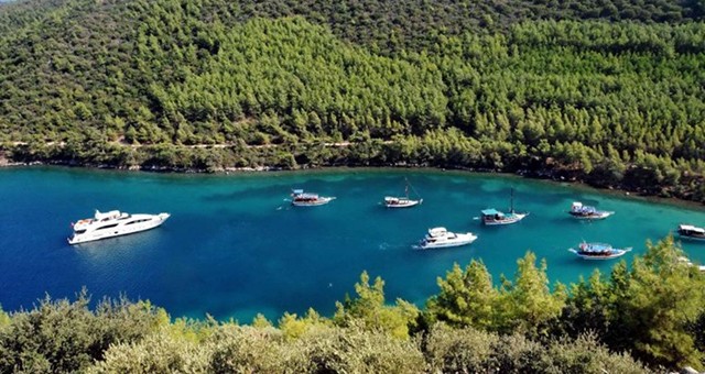 TOKİ 11–12 Aralık’taki İhalede Bodrum’daki 5 Taşınmazı Yeniden Satışa Çıkarıyor