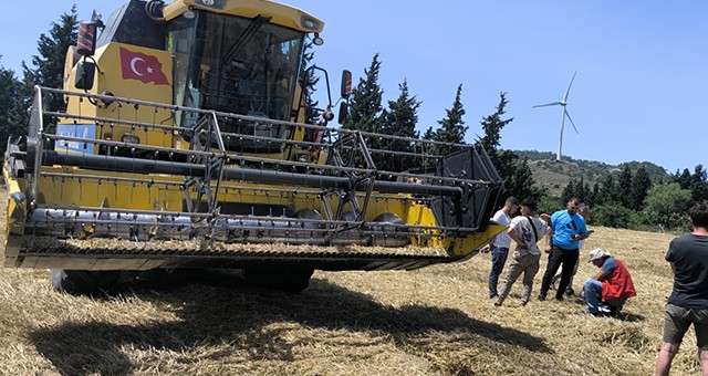 Muğla'da Biçerdöverle Hububat Hasadı Başladı