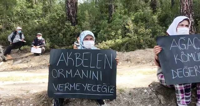 YK Enerji’nin “Akbelen Ormanı Ağaçları Ömrünü Doldurmuş; İzin Verin, Keselim” talebine Bölge Mahkemesinden Kesin Ret