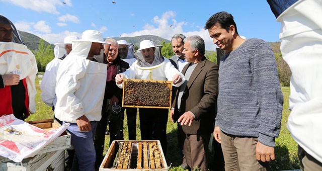 Muğla Arıcılıkta Hedef Yükseltti