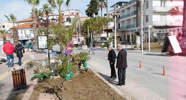 Güllük gülleniyor!