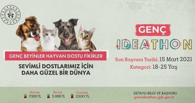 Milas Gençlik Merkezi’nden yarışma duyurusu