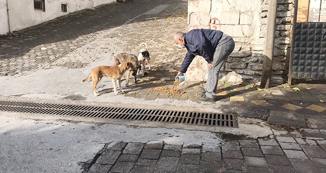 Milas Belediyesi minik dostlarımızın yanında