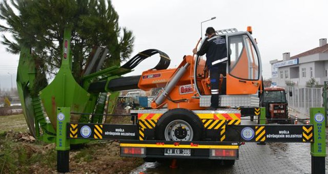 Büyükşehir 280 ağacı yeni yerlerine nakletti