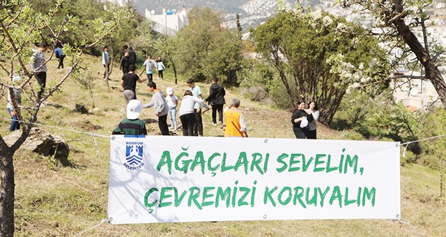 Orman Haftası’nda zeytin fidanları topakla buluştu