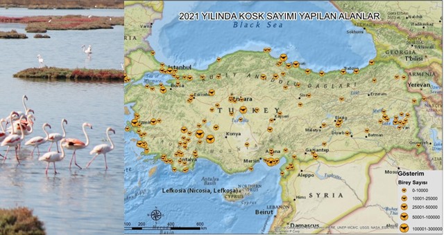 Bu yıl ki KOSKS raporu yayımlandı