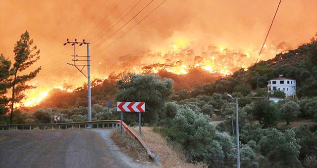 Yangın sezonu açıldı, ihaleler devam ediyor