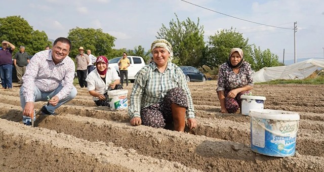 Milas Belediyesi’nden ilçe tarımına büyük destek