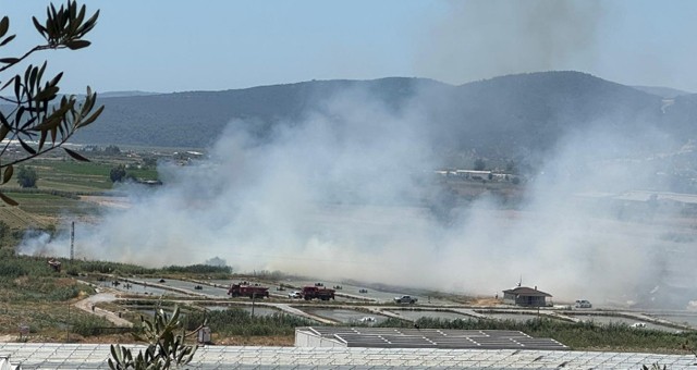 Balık Havuzlarının Yakınında Çıkan Yangın Söndürüldü