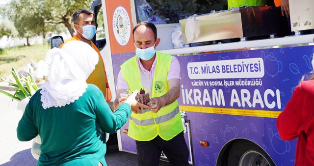 Milas Belediyesi üreticiden aldıklarını vatandaşa dağıttı