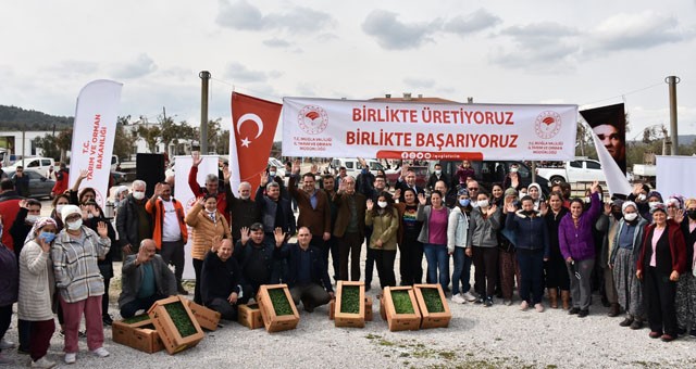 Milas’da 728 küçükbaş hayvan ile 135 bin fide dağıtıldı