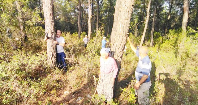 Akbelen direniyor!.. Yine gözaltılar var.. Ören ve Bodrum yolları ‘uygulama’ adı altında kilitlendi..