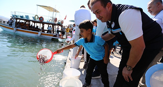 Milas Boğaziçi’nde 160 Bin Yavru Balık Denizle Buluştu