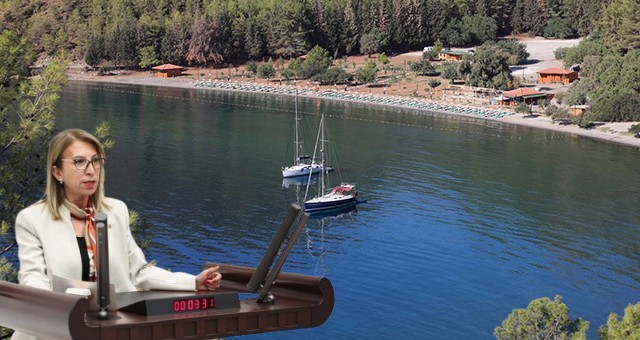 CHP’li Derici Kille Koyu Projesini Meclis Gündemine Taşıdı