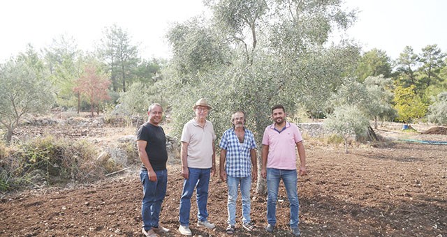 Milas Ziraat Odası’ndan Tarımsal üretimdeki sorunlara danışmanlık hizmeti çözümü