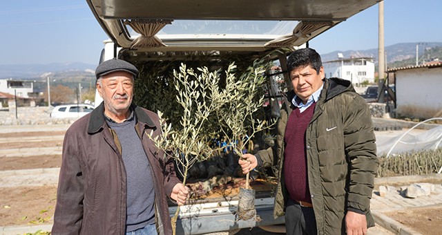 4 bin 410 meyve fidanı üreticiye dağıtıldı