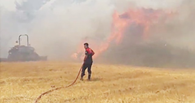 Ormanlık alanda başlayan yangın tarım arazilerine sıçradı