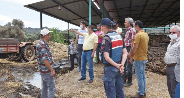 Başkan Tokat yangın alanlarında incelemede bulundu