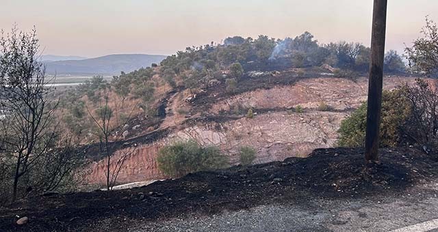 Yine Güllük, Yine Yangın, Yine Elektrik Kaynaklı