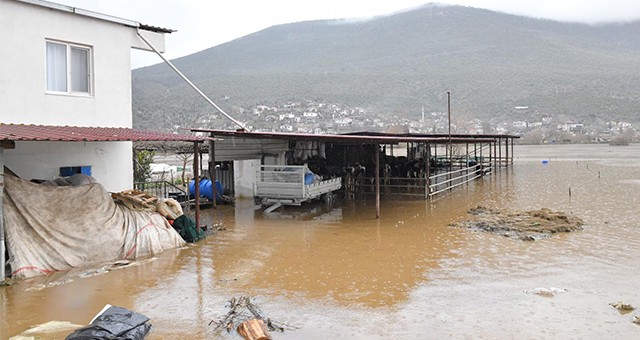 Afet Muğla’yı fena vurdu…