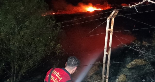 Bodrum’da 15 dönüm makilik alan yandı