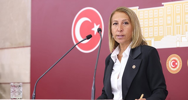 Süreyya Öneş Derici, CHP'de Başlayan Yeni Dönemi Değerlendirdi